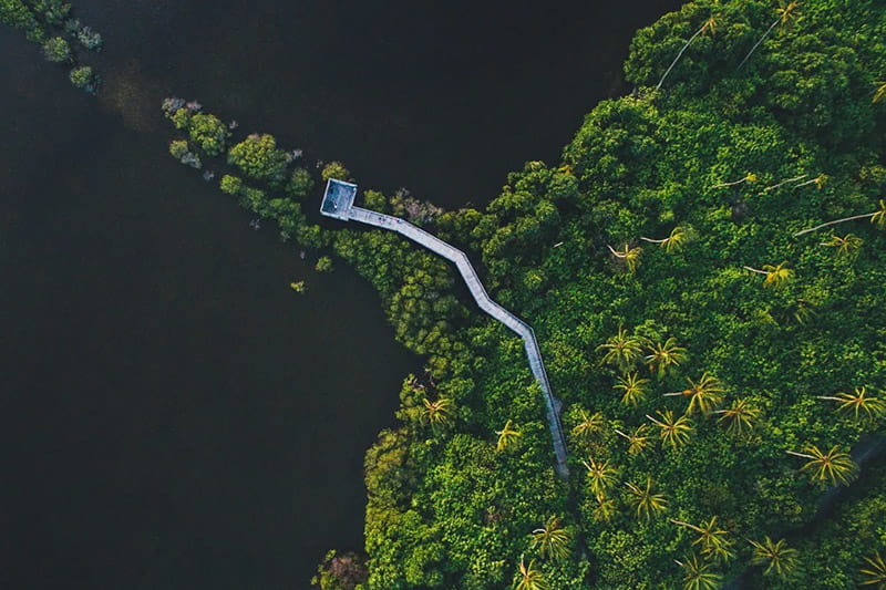 sustainable investing - from niche to normal